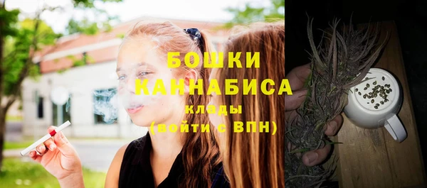 гидра Мегион