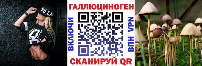 darknet какой сайт  Реутов  Галлюциногенные грибы мухоморы 